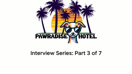3- Why did you decide to sell your previous business?
